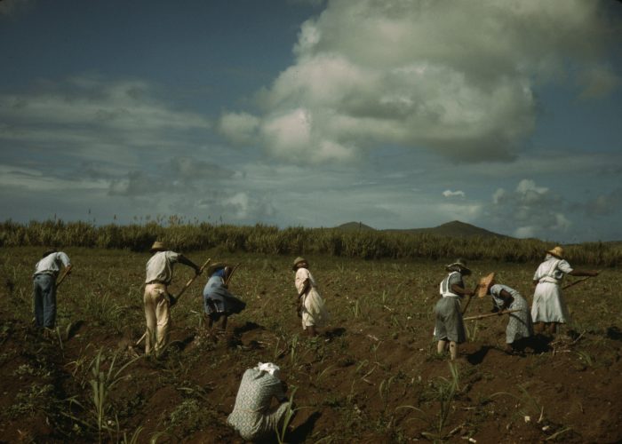 640px-Sugar_farmers_in_Bethlehem_Saint_Croix_1940s